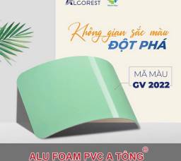 Alu Alcorest bóng GV2022